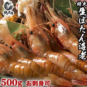 【大ボタンエビ500g】プリプリのボタンエビ500g 期間限定送料無料 お弁当 味噌汁 おかず 簡単 水産業界最安値に挑戦 えび えびの刺身 濃厚えび味噌｜hcimport