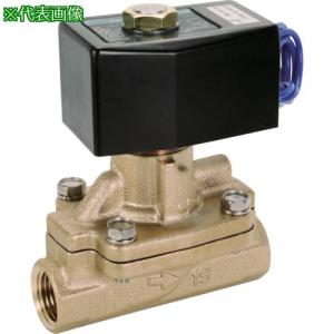 ■CKD パイロット式2ポート電磁弁(マルチレックスバルブ)162[[MM2]]/有効断面積[店頭受取不可]