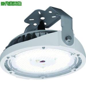 IRIS OHYAMA（アイリスオーヤマ） ハイパワーLED照明 RZシリーズ LED