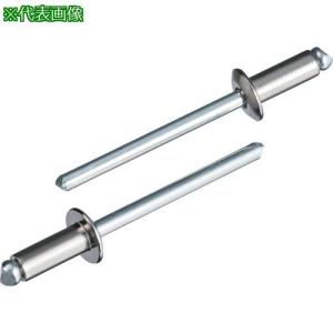 ロブテックス エビブラインドリベットステンレス/スティール製43  LSS43