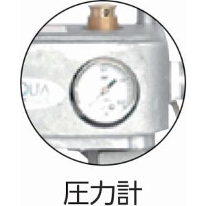 ■アクアシステム 吐出専用 エア式ドラムポンプ...の詳細画像1
