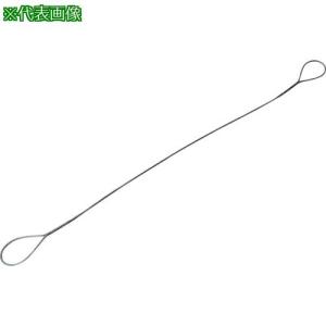■TRUSCO 玉掛けワイヤーロープ 段落し 1...の商品画像