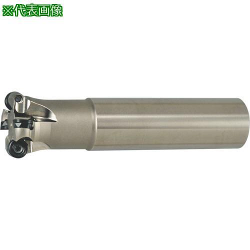 ■MOLDINO アルファ ラジアスミル レギュラー RV4S032R-3【7749198:0】[店...