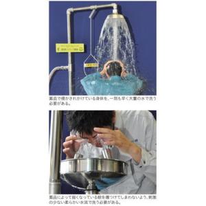 ■日本エンコン 緊急用シャワー・洗眼器【819...の詳細画像2