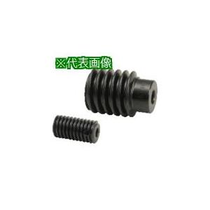 ■KHK ウォームSW1.25-R1【8566563:0】[店頭受取不可]