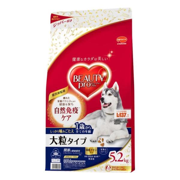 【セット販売】 ビューティープロ ドッグ 大粒タイプ １歳からすべての年齢 成犬用 5.2Kg (×...