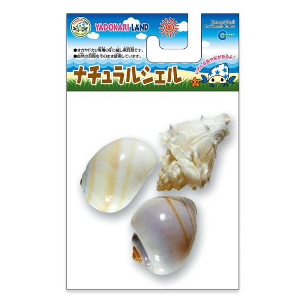 【ケース販売】 マルカン YD76 ナチュラルシェル M (1袋3個入×36個セット) マルカン