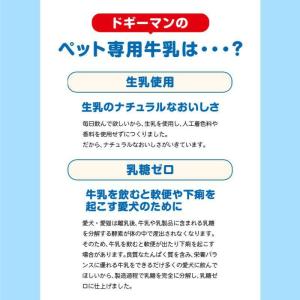 [即納在庫品] 【ケース販売】 ドギーマン ね...の詳細画像2