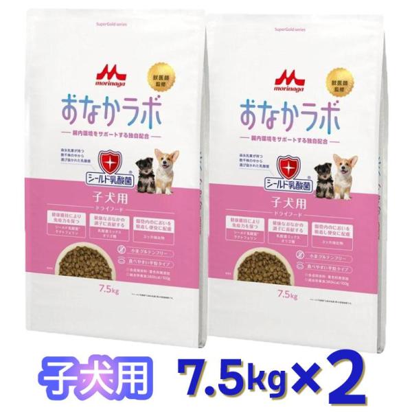 [即納在庫品] 【ケース販売】森乳サンワールド おなかラボ 子犬用 7.5kg (×2セット) ドッ...