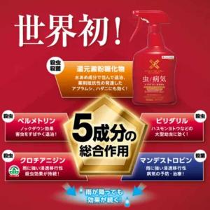 [即納在庫品] 住友化学園芸 ベニカXネクスト...の詳細画像1