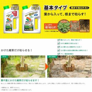 [即納在庫品] 日産化学 ラウンドアップマック...の詳細画像2