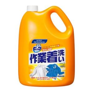 限 定 販 売 Kao 花王 漂白剤 衣料用洗剤 ファブリックケア ワイドハイターexパワー 4 4 5l 台所洗剤 洗浄用品 Nchsurat Org