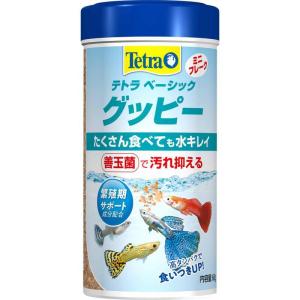 スペクトラム ブランズ ジャパン 観賞魚 熱帯魚用フード テトラ ベーシック グッピー ６０ｇ ペット用品｜hcvalor