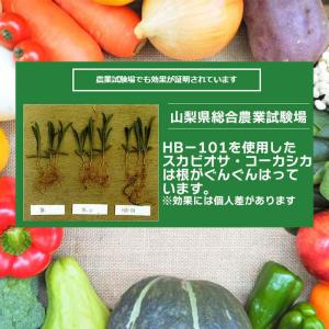 [即納在庫品] フローラ HB101 1L 天...の詳細画像2