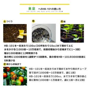 [即納在庫品] フローラ HB101 1L 天...の詳細画像3