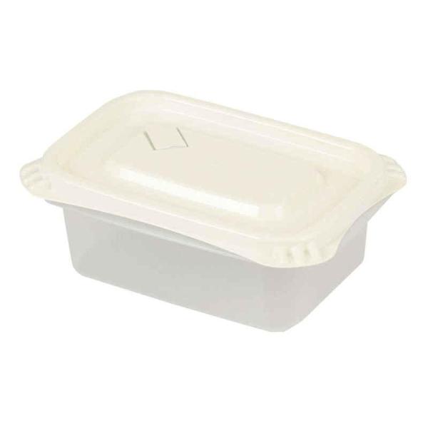 パール金属 保存容器 880ml Easy Pack 長方形 L 2個組