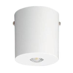 Panasonic（パナソニック） 電源別置型 LED非常用照明器具 直付型 低