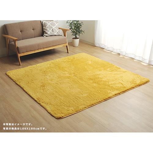 イケヒコ・コーポレーション ラグ フィリップ 約3畳 200×250cm オレンジ フィリップ2
