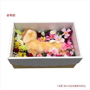 わんずもあ ペットのひつぎ ペット棺 ペット用...の詳細画像2