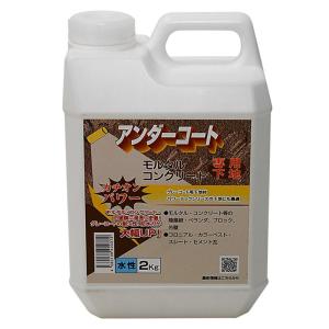 丸長 アンダーコート カチオンパワー2KG 5718500