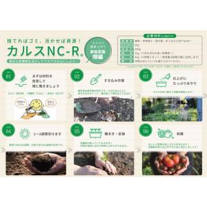リサール酵産 カルス NC-R 1kg 粉状 ...の詳細画像1
