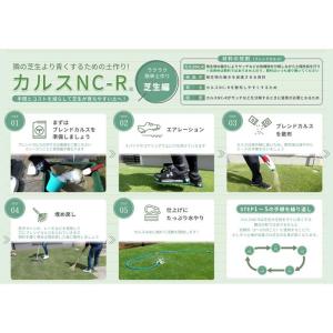 リサール酵産 カルス NC-R 1kg 粉状 ...の詳細画像3