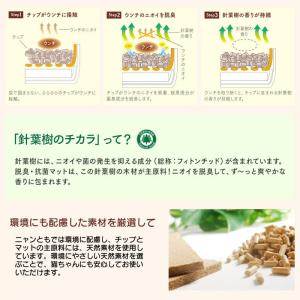 [即納在庫品] 【ケース販売】 ニャンとも清潔...の詳細画像3