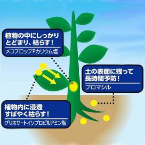 [即納在庫品] アース製薬 アースカマイラズ草...の詳細画像2