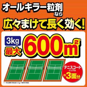 フマキラー カダン 除草王 オールキラー粒剤 ...の詳細画像1