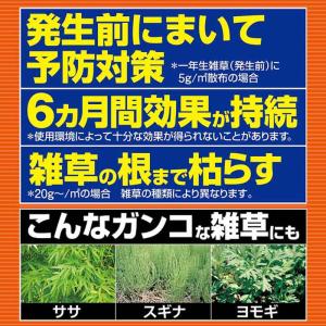 フマキラー カダン 除草王 オールキラー粒剤 ...の詳細画像2