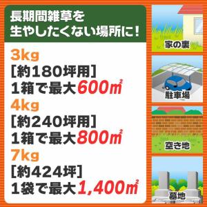 フマキラー カダン 除草王 オールキラー粒剤 ...の詳細画像3
