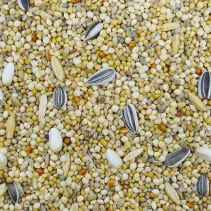 エクセル5 オカメインコ皮付き 450g ナチ...の詳細画像2