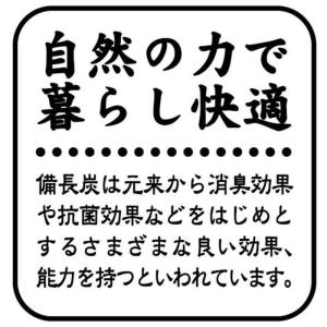 ワイズ 消臭シート 靴箱用 備長炭の詳細画像2