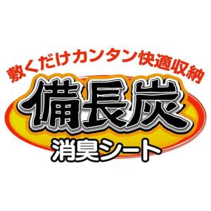 ワイズ 消臭シート 靴箱用 備長炭の詳細画像5