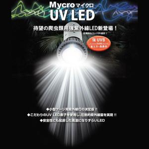 [即納在庫品] ゼンスイ マイクロUV LED...の詳細画像1