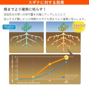 [即納在庫品] 日産化学工業 ラウンドアップマ...の詳細画像3