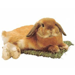 わらっこ倶楽部 うさぎの座布団 M 川井の商品画像