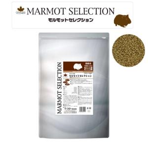 [即納在庫品] イースター モルモットセレクシ...の詳細画像2