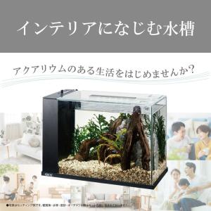 [即納在庫品] GEX HOURS ブラック ...の詳細画像5