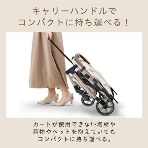 [即納在庫品] GEX (ジェックス) OSO...の詳細画像4