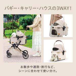 [即納在庫品] GEX (ジェックス) OSO...の詳細画像2