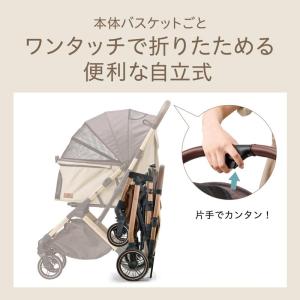 [即納在庫品] GEX (ジェックス) OSO...の詳細画像2