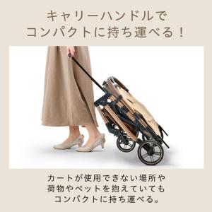 [即納在庫品] GEX (ジェックス) OSO...の詳細画像4