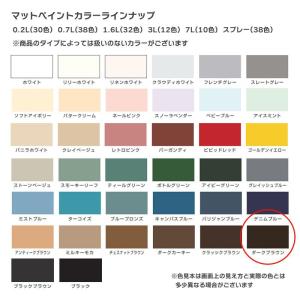 カンペハピオ マットペイント3L (ダークブラ...の詳細画像1