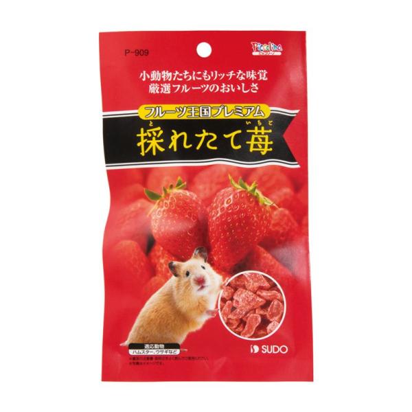 フルーツ王国プレミアム 採れたて苺46g P-909 ピッコリーノ スドー