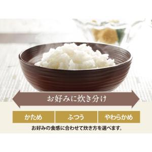 [即納在庫品] 象印 IH炊飯ジャーの詳細画像3
