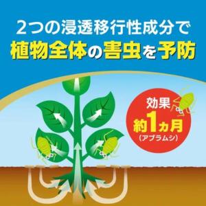 [即納在庫品] KINCHO園芸 オルトランD...の詳細画像2