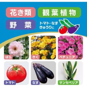 [即納在庫品] KINCHO園芸 オルトランD...の詳細画像4