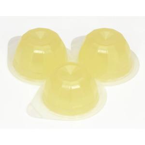三晃商会 サンコー レプタイルゼリー 16g×...の詳細画像1