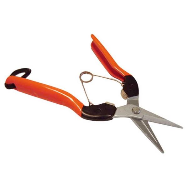 サボテン 摘果はさみ